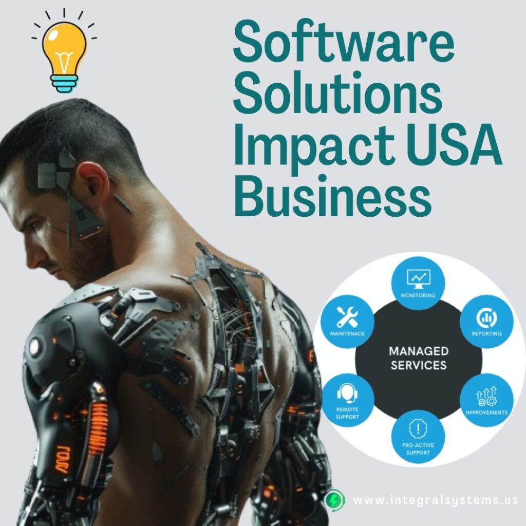 Software Solutions Impact USA Business