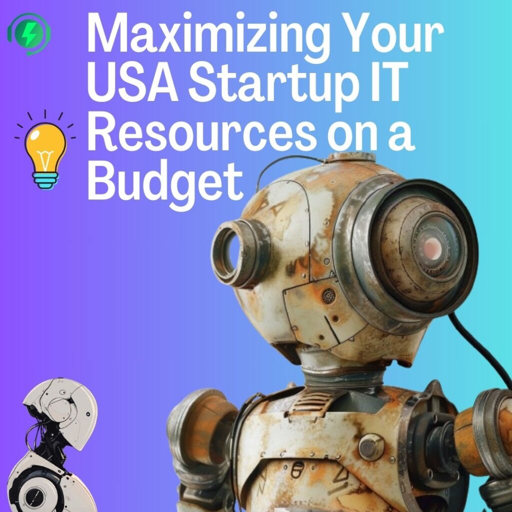 Maximizing Your USA Startup IT Resources on a Budget